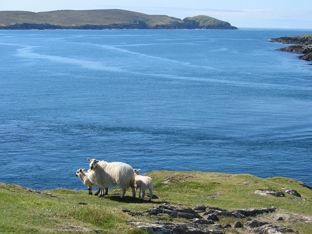 Irlande 021.jpg